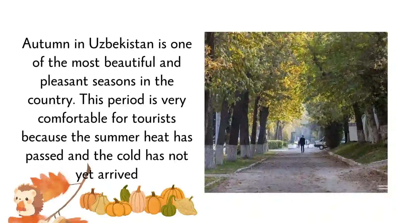 AUTUMN IN UZBEKISTAN 2