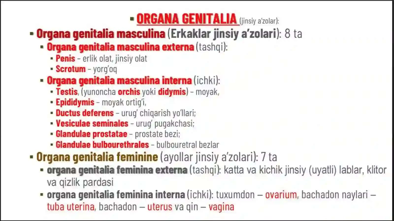 Tashqijinsiya’zolarvaungaaloqadortuzulmalar 2