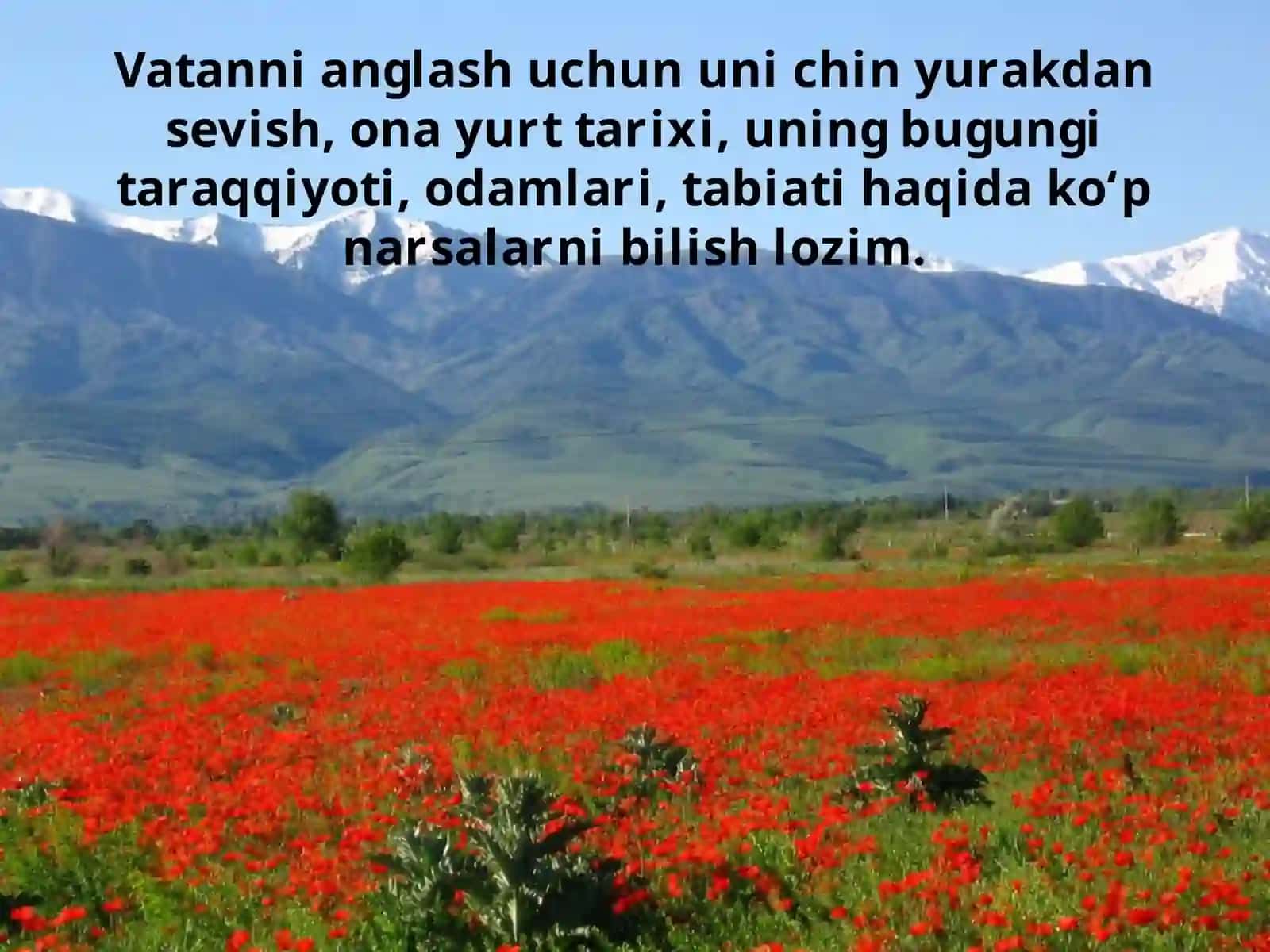 5-sinf Vatan tuyg'usi Vatanni anglash 2