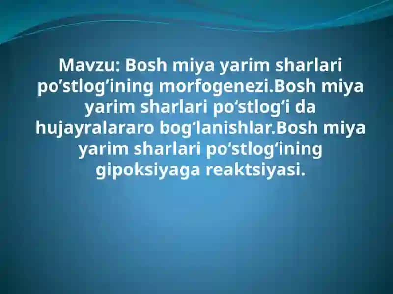 Boshmiyayarimsharlaripo’stlog’ining Morfogenezi 2