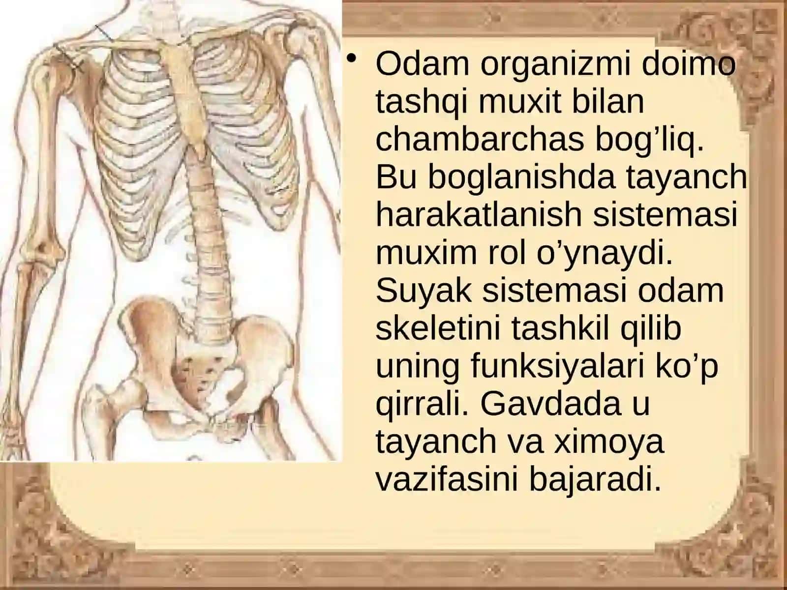 SUYAKLAR TUZILISHI 2