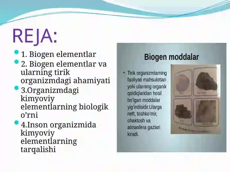 BIOGEN ELEMENTLAR 2