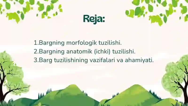 Barglarning anatomik va morfologik tuzilishi. 2
