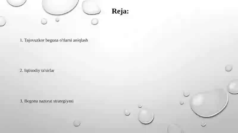 Begona O'tlarni Aniqlash 2