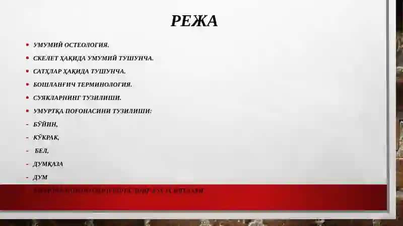 Умумий остеология 2