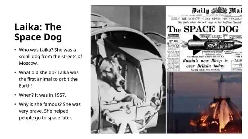Laika: The Space Dog 2