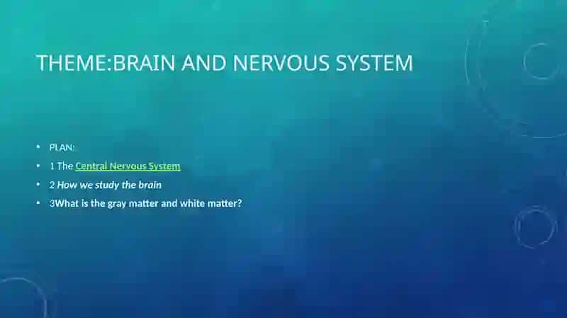 The Central Nervous System 2