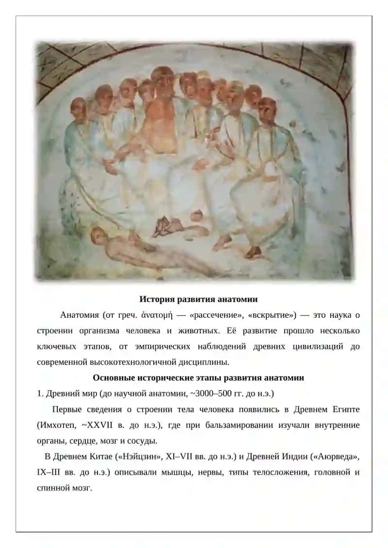 История развития анатомии 2