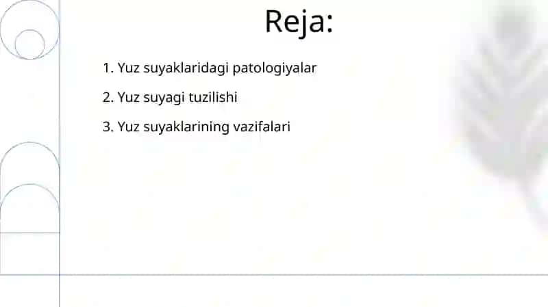 Yuz suyaklari 2
