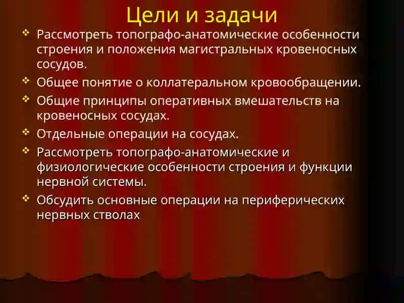 Клиническая анатомия (ОХТА) 2