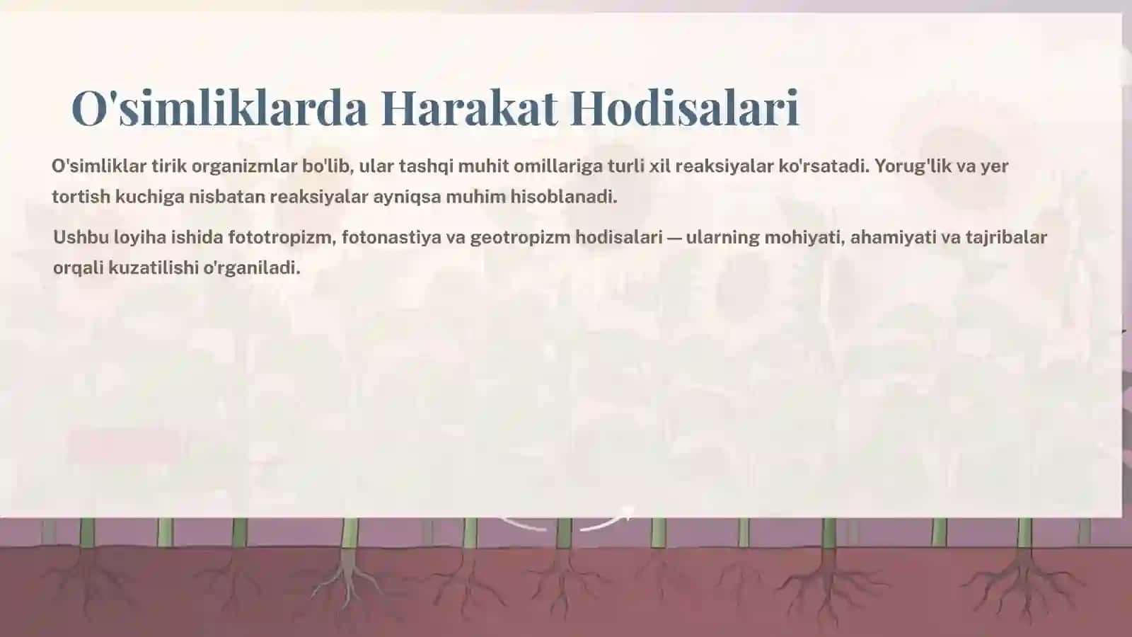 O'simliklarda Harakat Hodisalari 2
