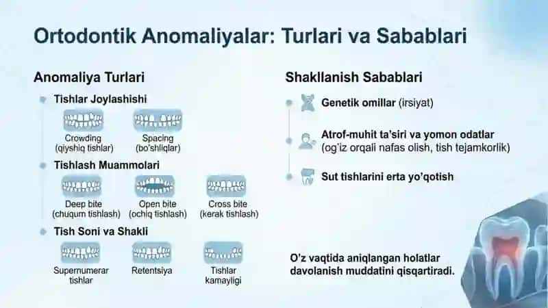 Ortodantiya 2