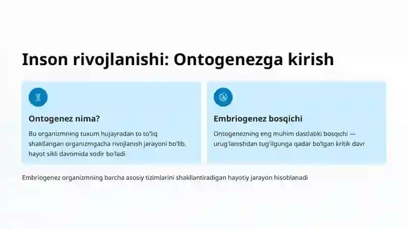 Inson rivojlanishi va embriogenezning qisqacha anatomiyasi 2