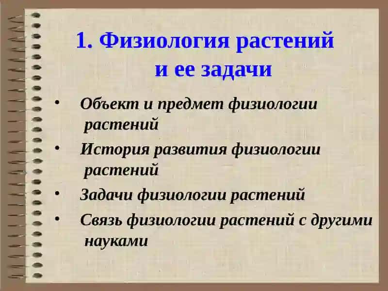 Физиология растений 2