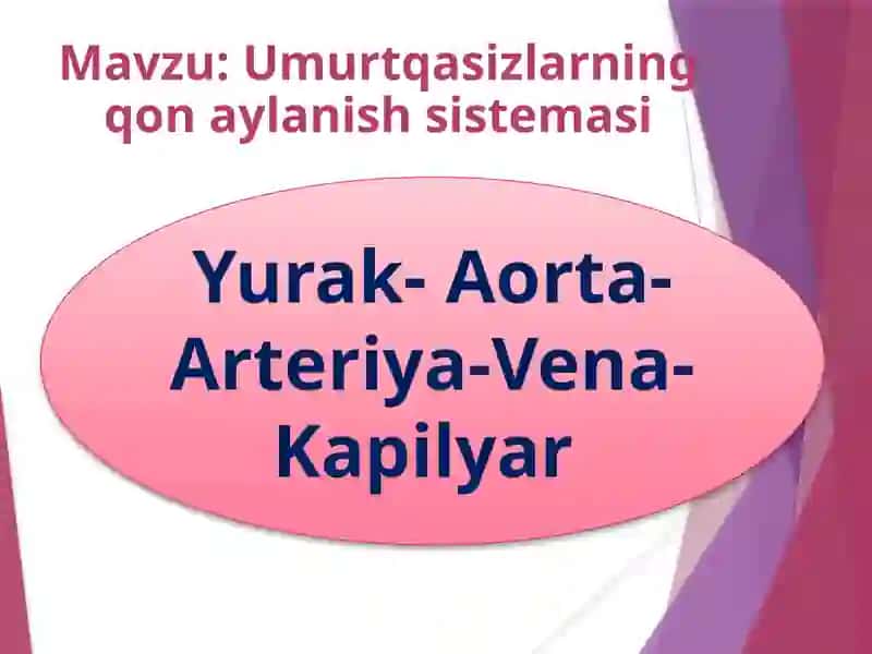 Umurtqasizlarning qon aylanish sistemasi 2