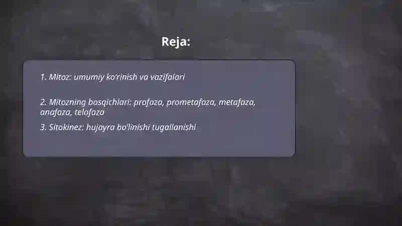 Mitozning bosqichlari 2