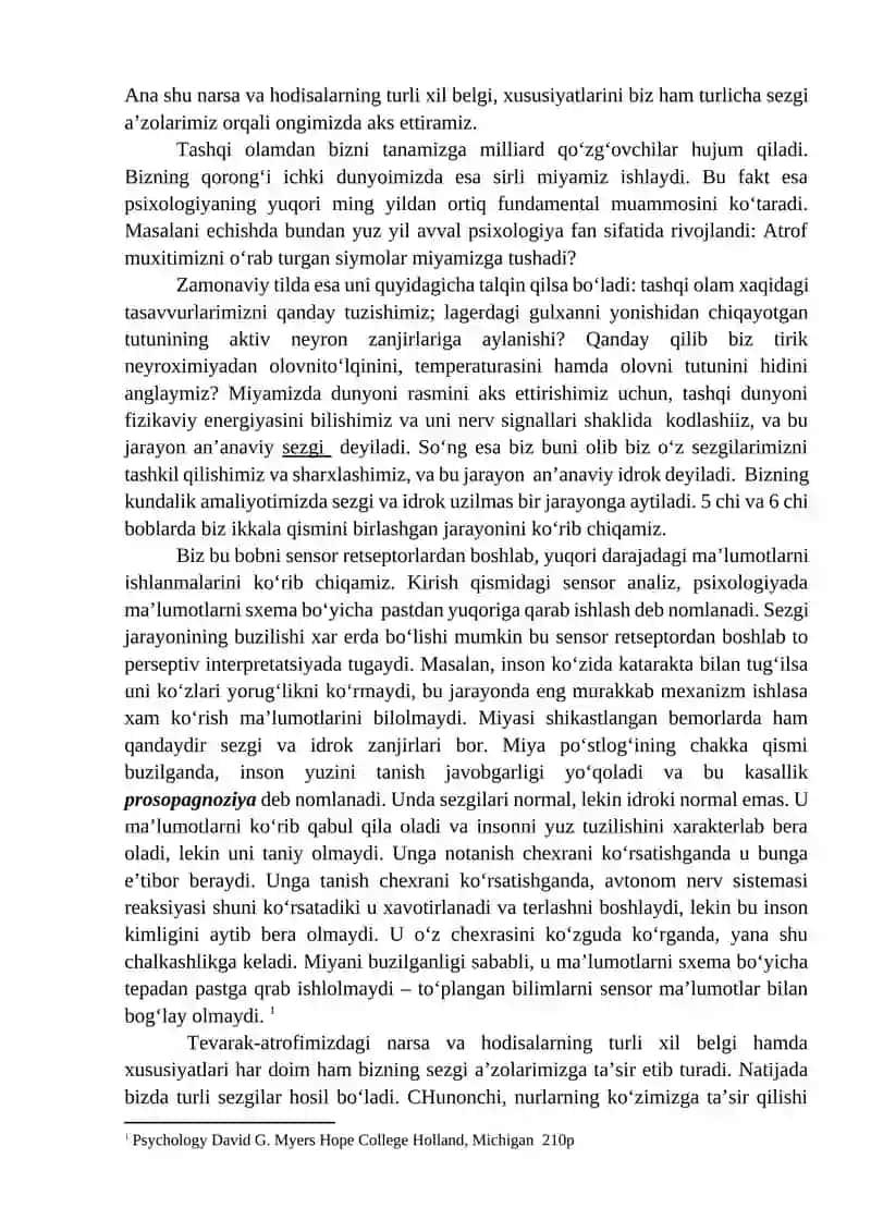 SEZGI 2