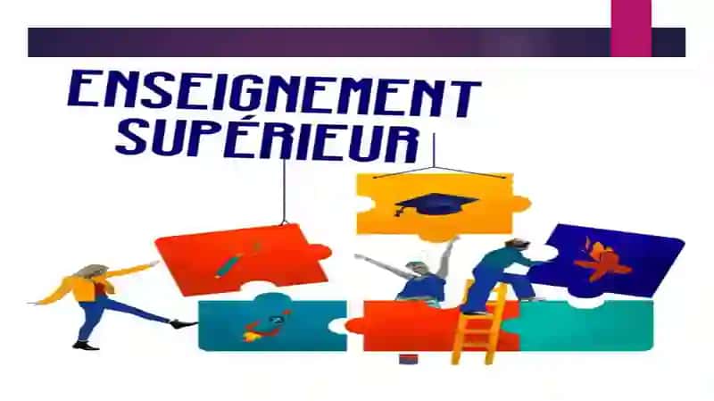 Enseignement supérieur 2