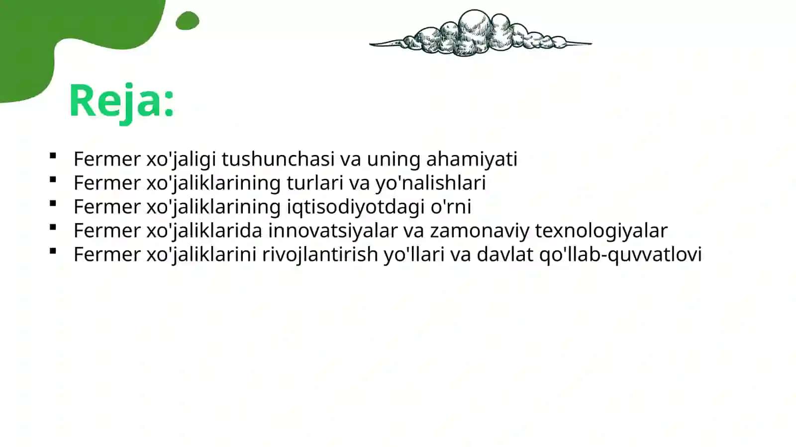 Fermer xo'jaligi 2