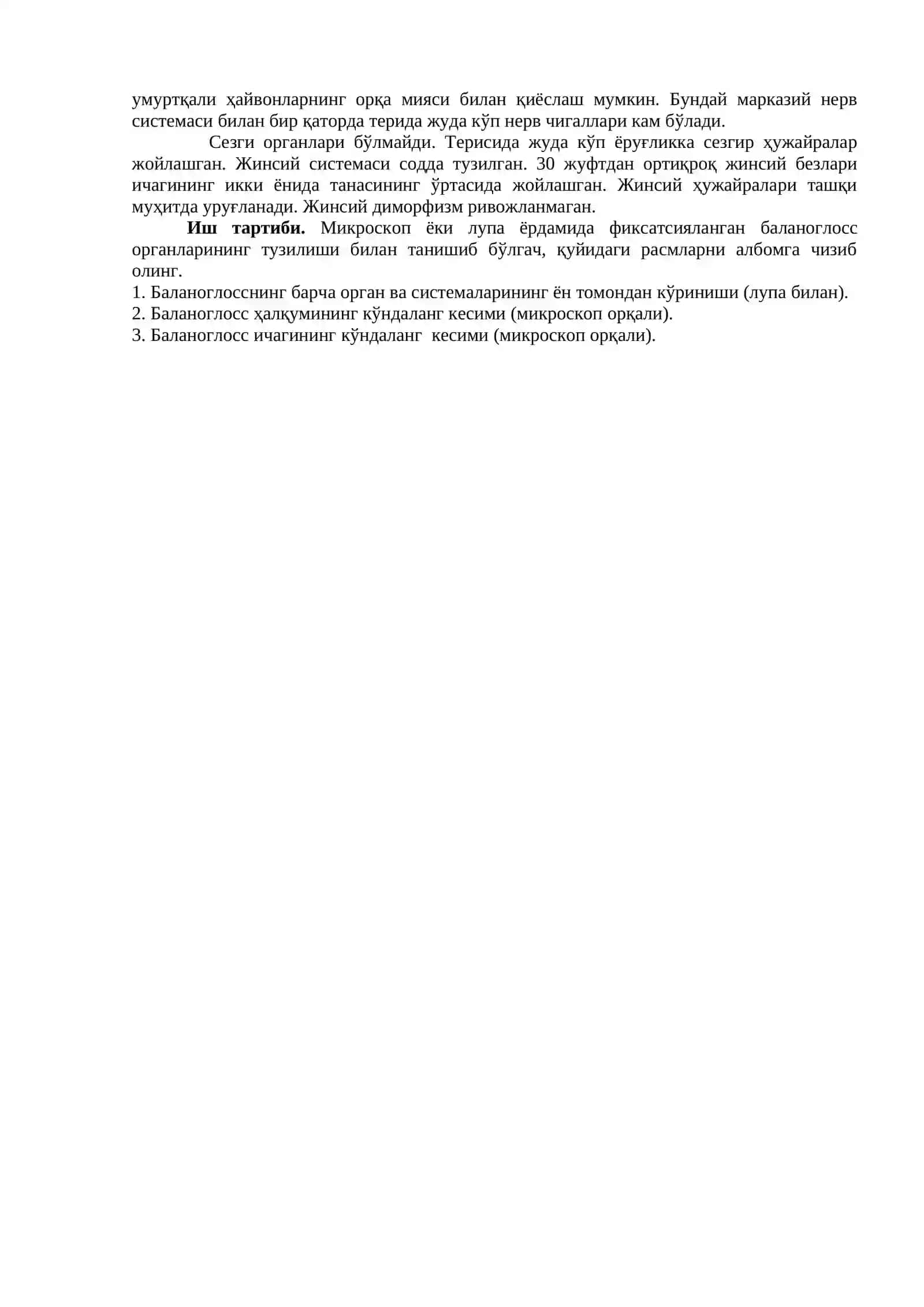 Чала хордалилар типи - Hemichordata 2