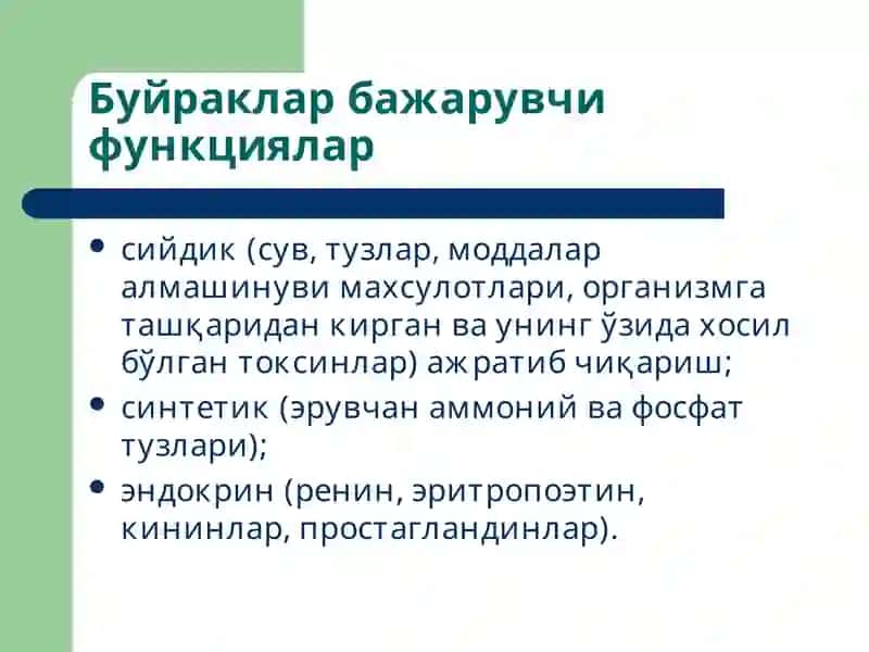 Буйраклар патофизиологияси 2