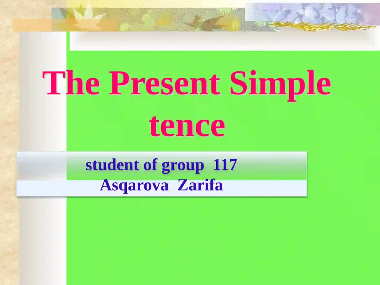 The Present Simple 2