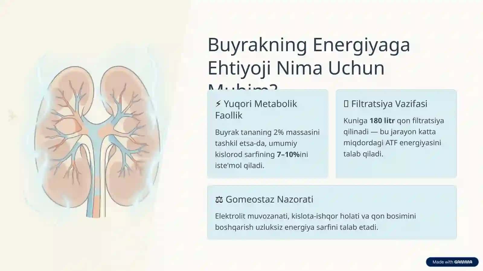 Buyrakni Energiya Bilan Ta'minlash 2