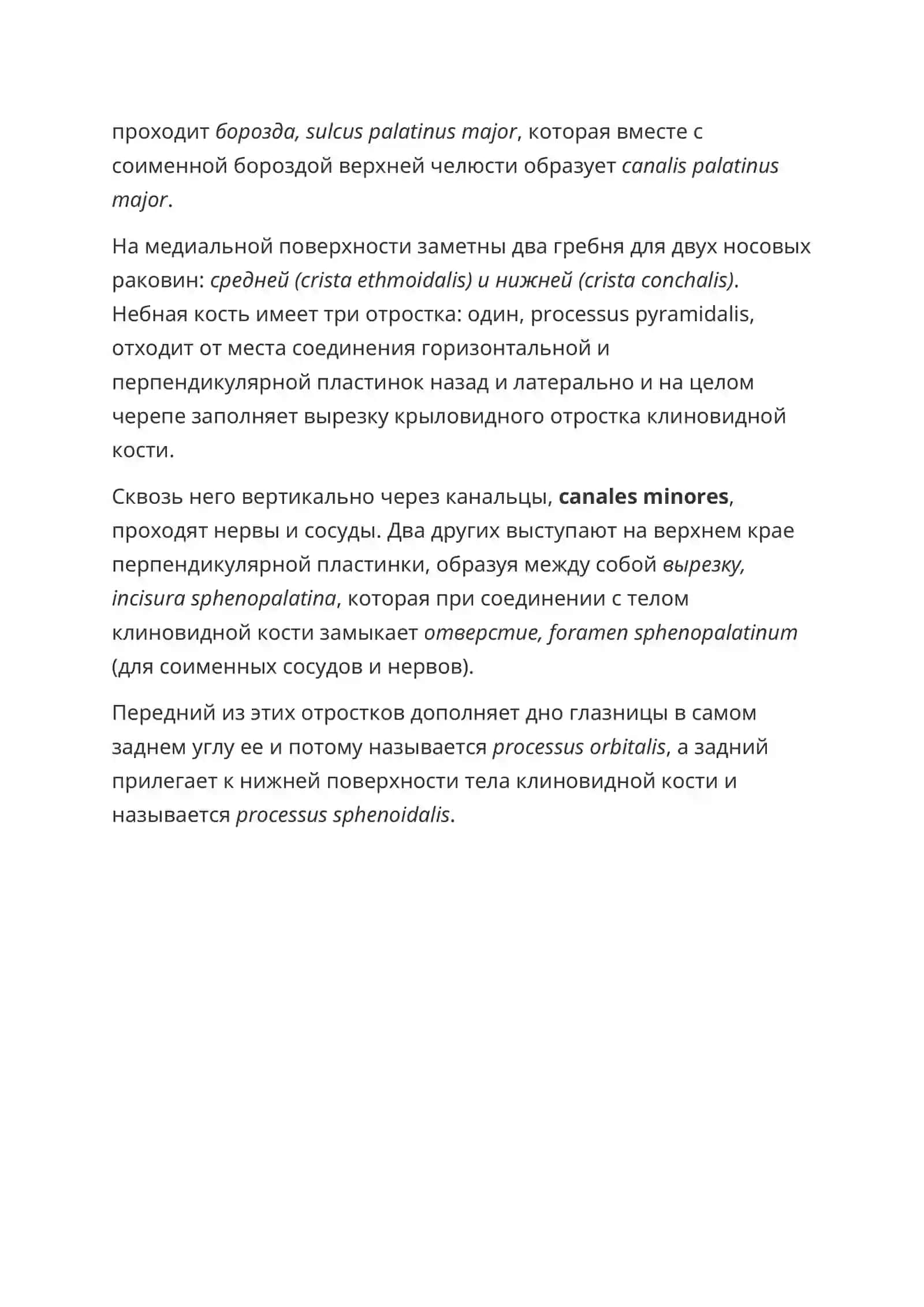 Небная кость 2