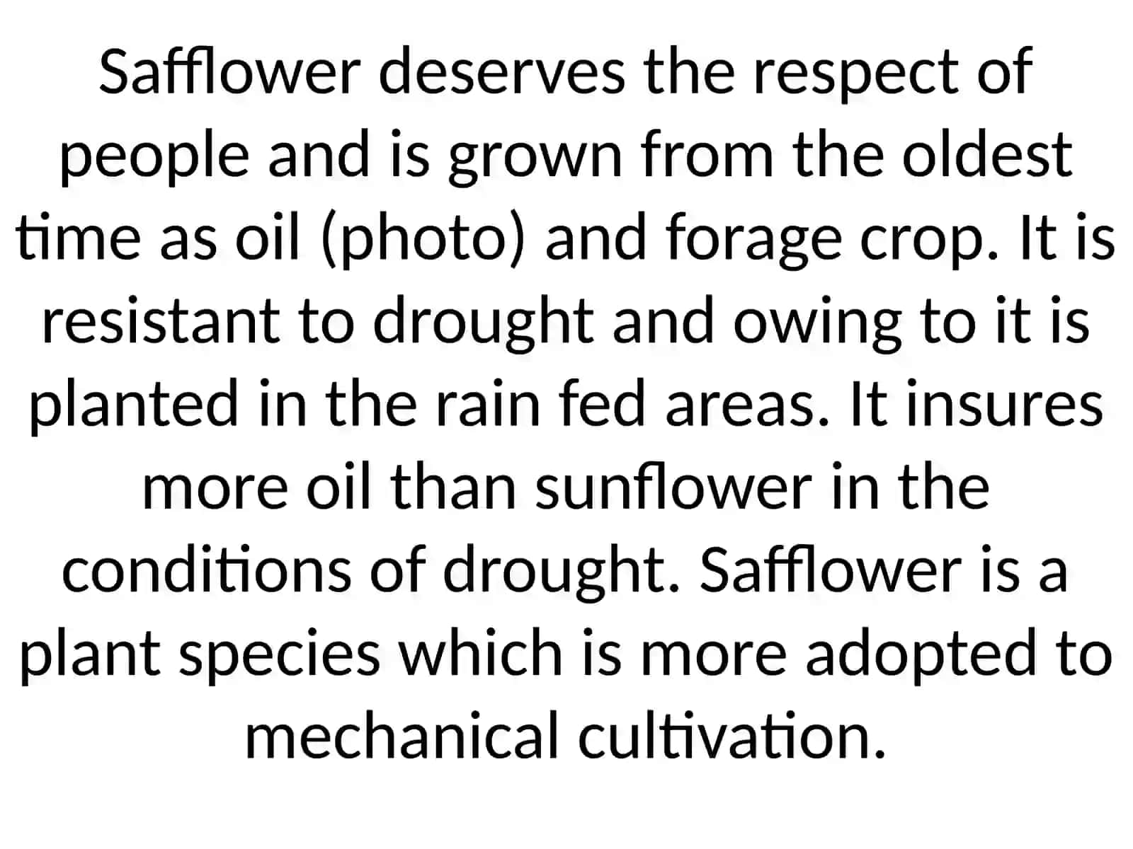 Breeding of safflower varieties 2