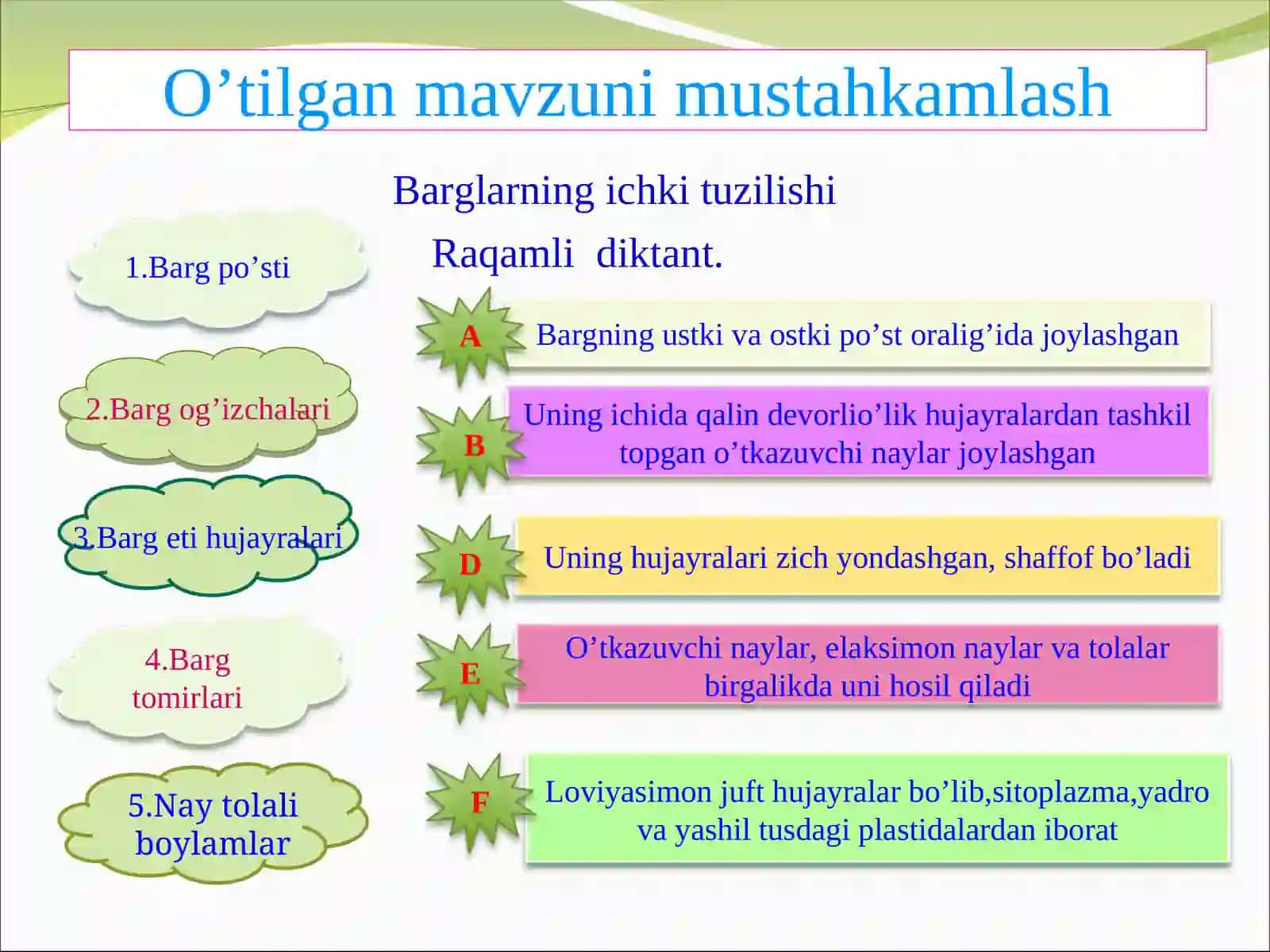 Bargning tuzilishi 2