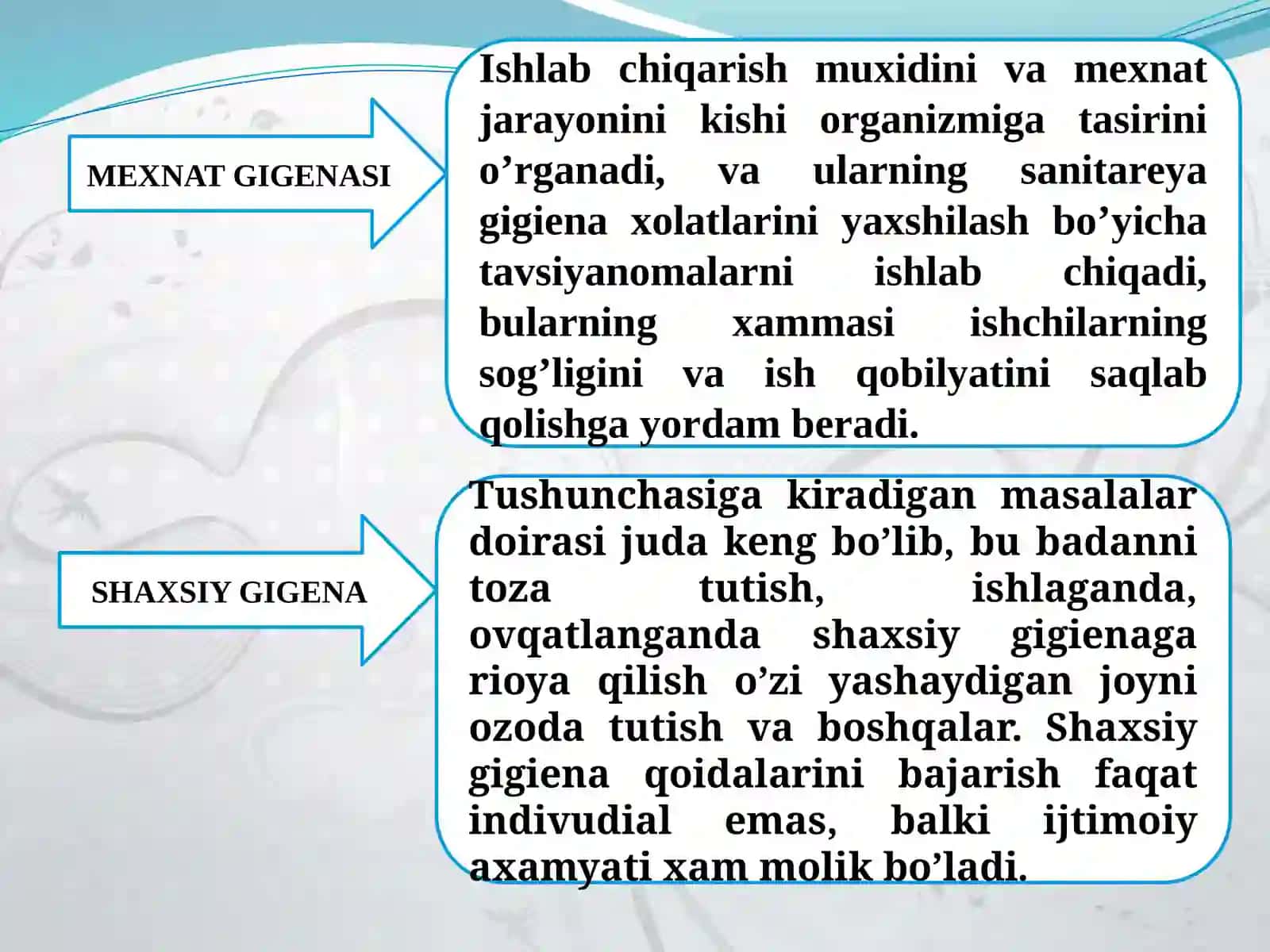 MEXNAT GIGENASI 2