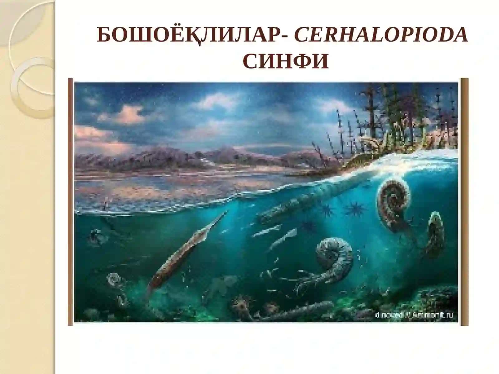 Палеонтология фани 2