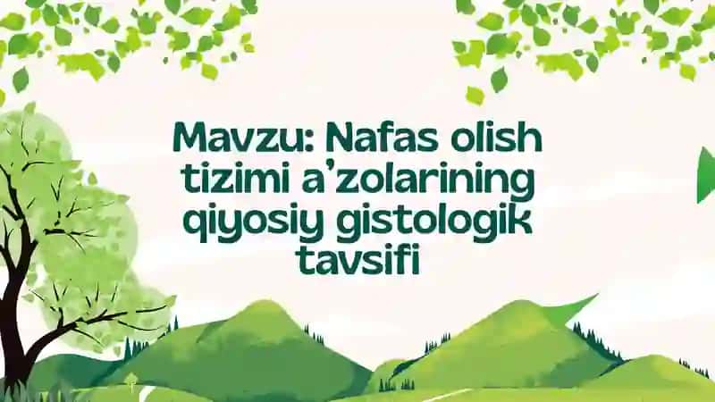 Nafas olish tizimi a’zolarining qiyosiy gistologik tavsifi 2