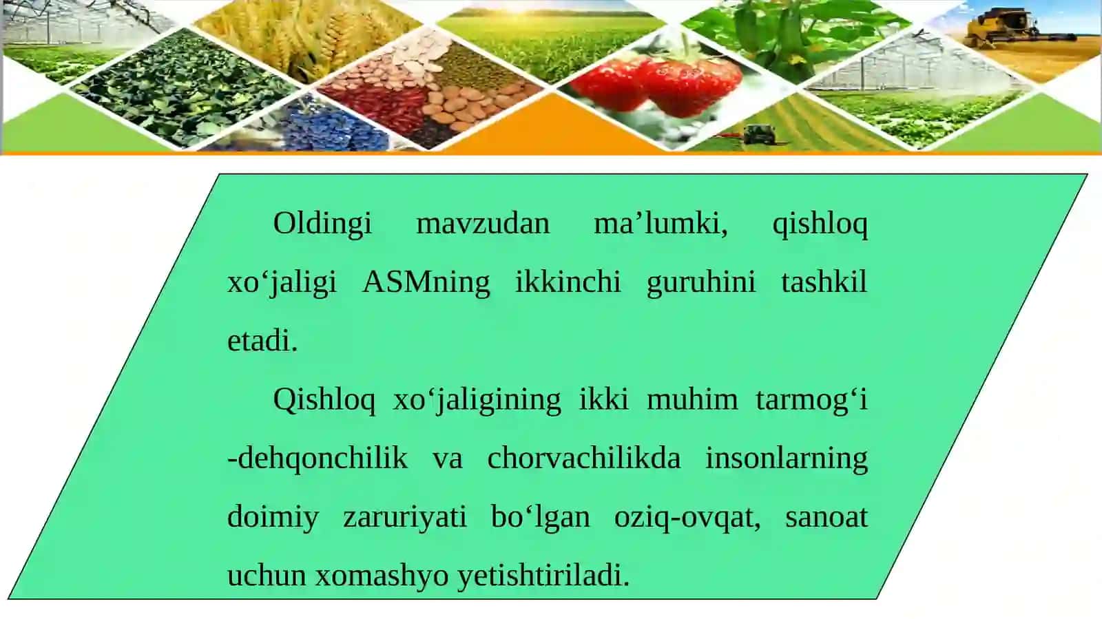 Qishloq xo‘jaligi 2