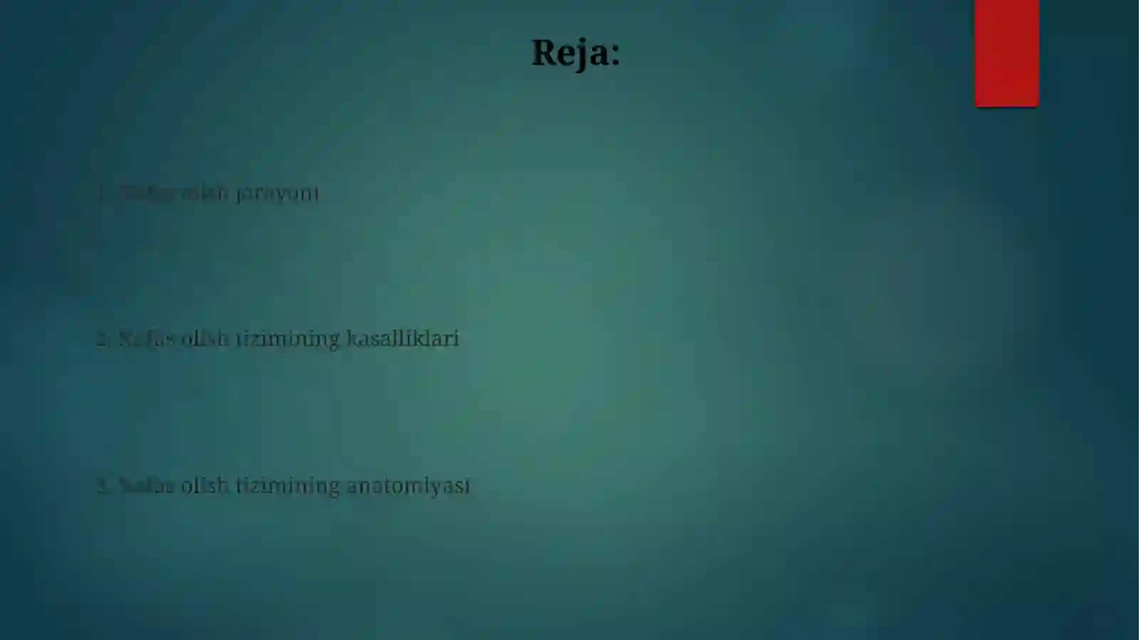 Nafasolishtizimi 2