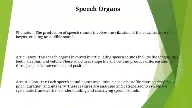 Phonological Aspect Of The English Speech Sounds 2