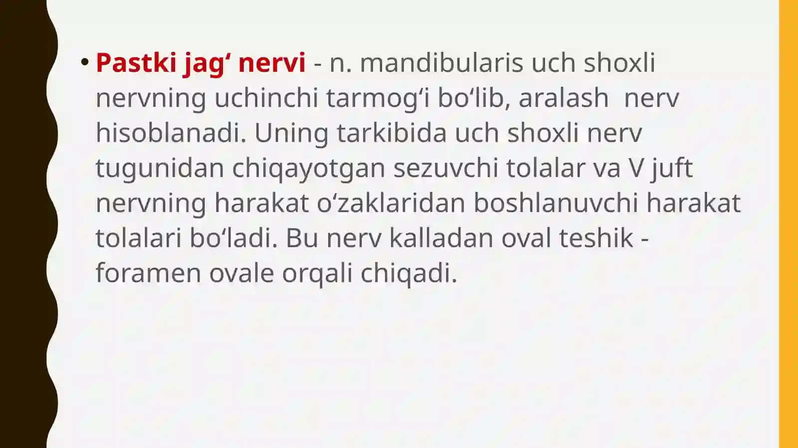 Uchshoxlinervni3-shoxi (n.mandibularis) 2