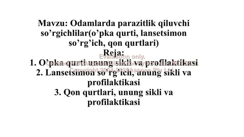 Oʼpka qurti (Paragonimus ringeri) 2