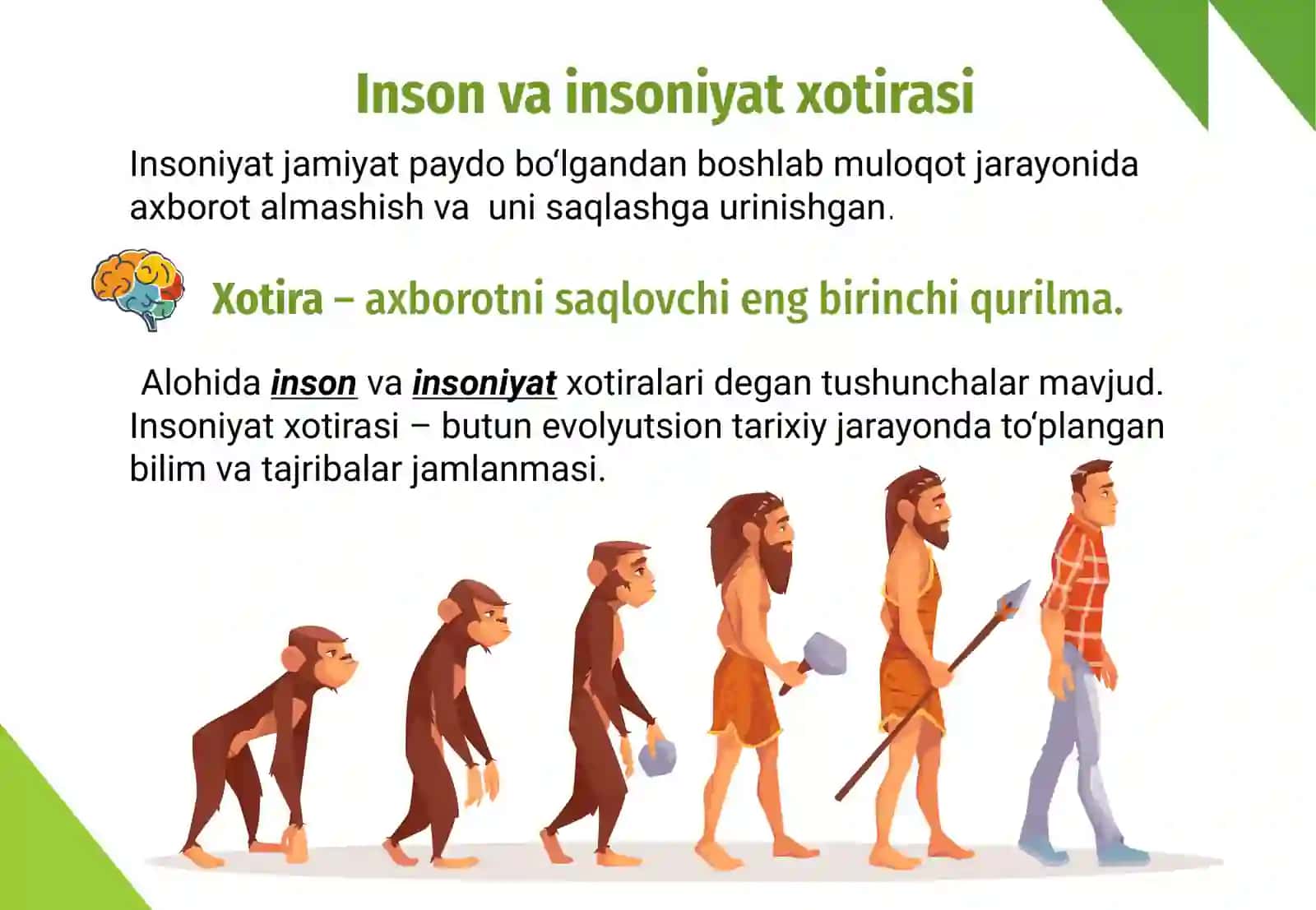 Axborot va raqamli texnologiyalar 2