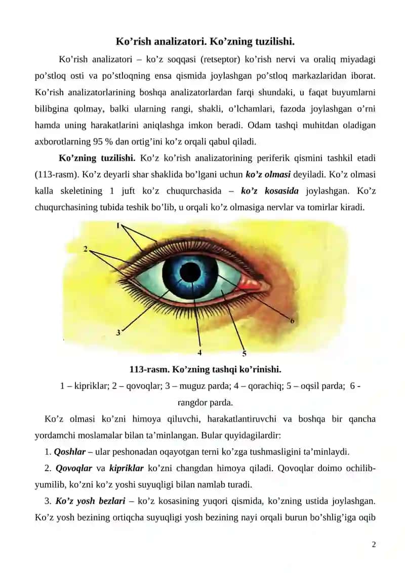 Sezgi organlari 2