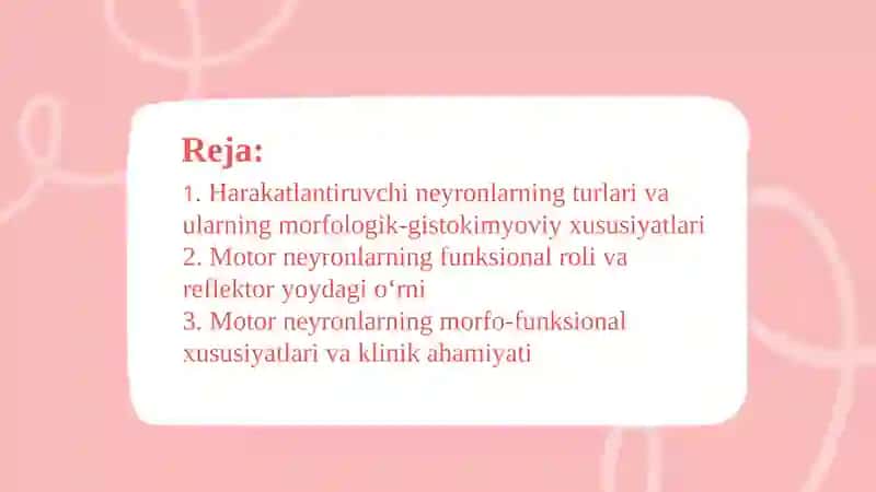 Orqamiyaning harakatlantiruvchi neyronlarining turlari 2