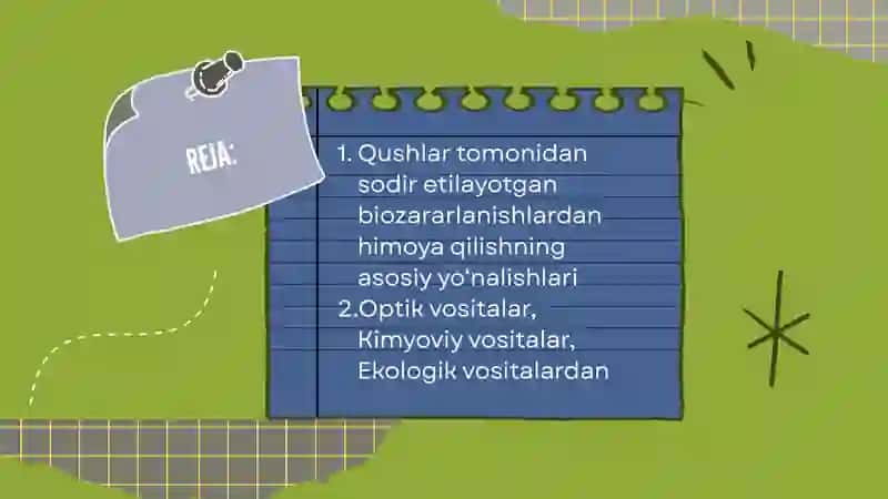 Qushlarning Zararidan Himoyalash Usullari 2