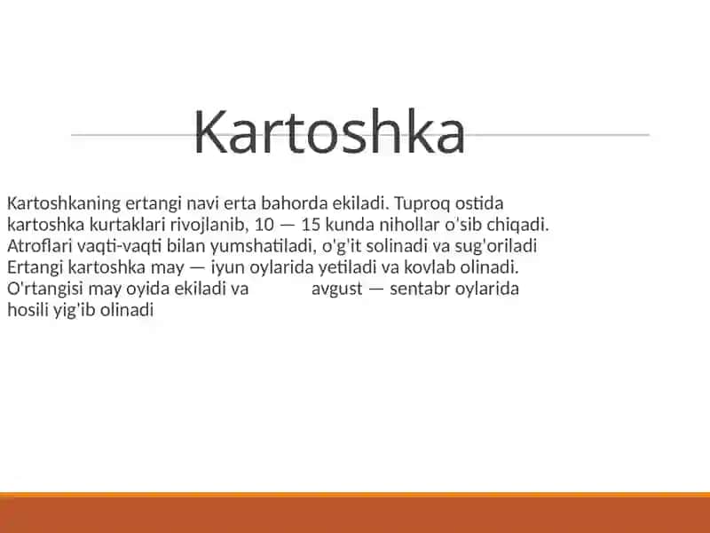 Kartoshka 2
