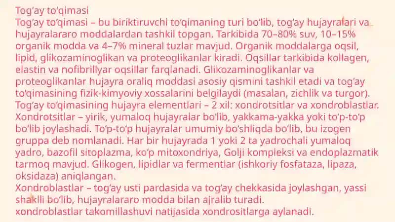 Tog`ayto`qimasi 2