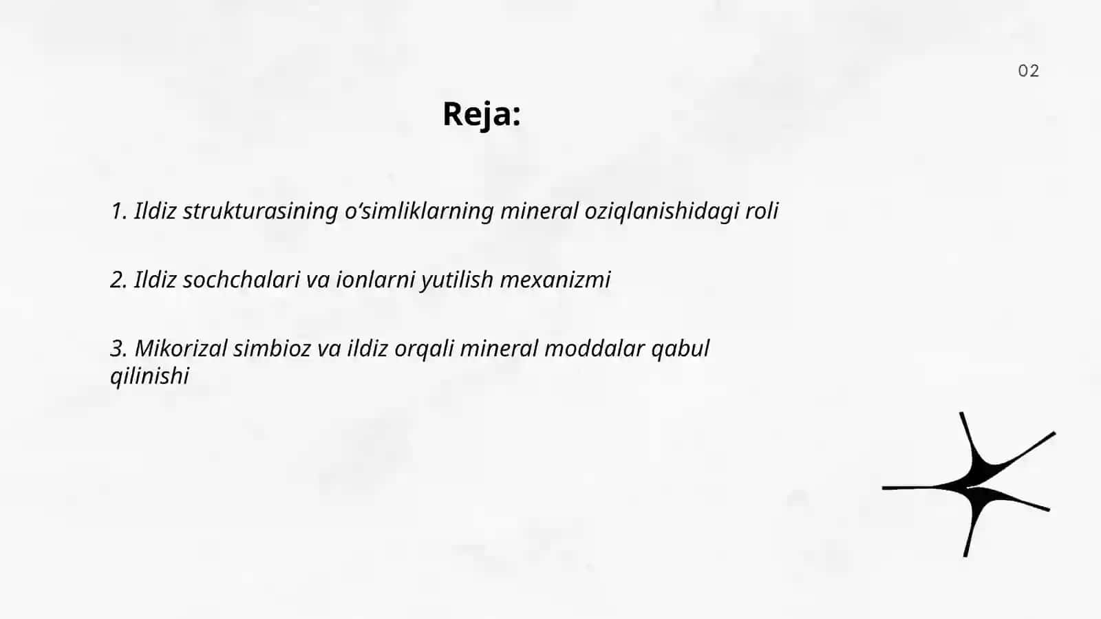 Ildizning mineral oziqlanishdagi roli 2