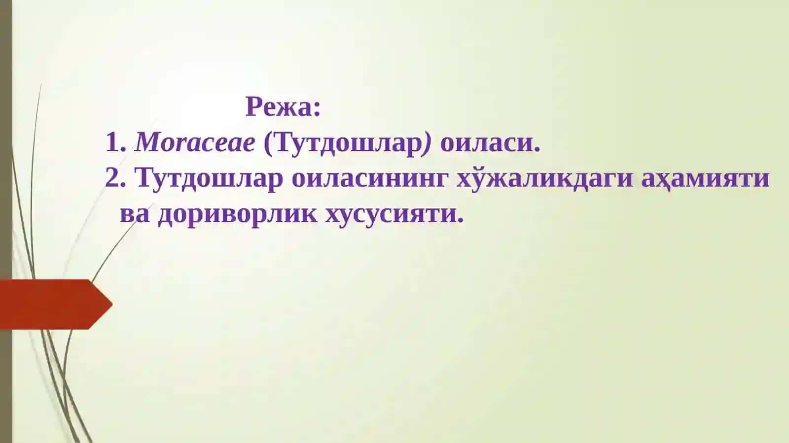 Тутдошлар оиласи доривор ўсимликлари 2