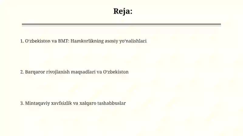 O'zbekiston va BMT: Hamkorlik Tarixi va Asosiy Yo'nalishlar 2