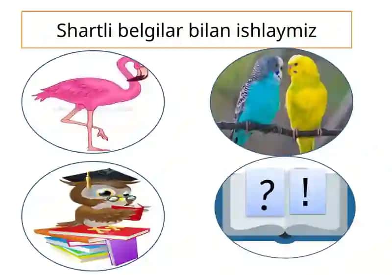 Mamlakatimizda hayvonot olami xilma xil, 2