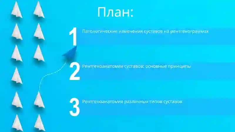 Рентгеноанатомия суставов 2