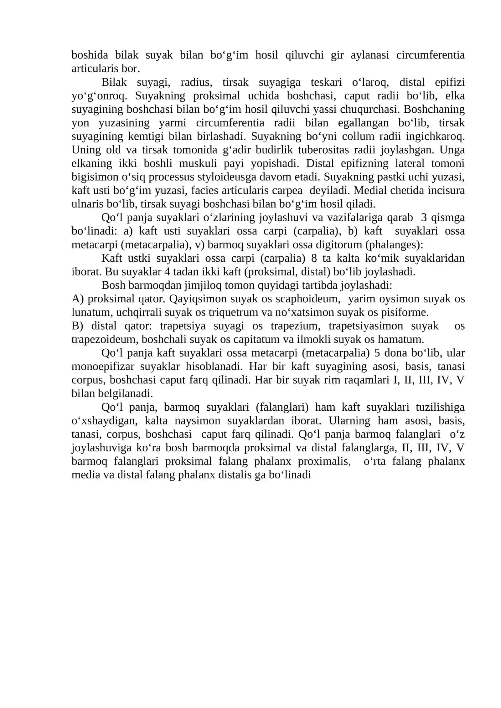 Yelka kamari suyaklari 2
